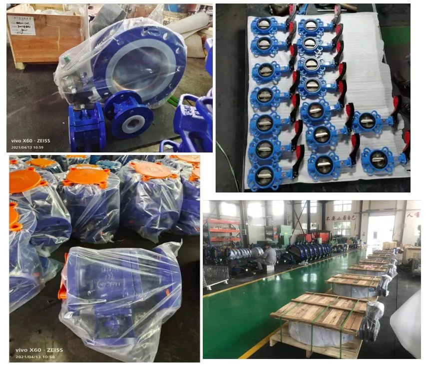 Ductile Iron/Cast Iron Metal Valves Full PTFE Lining H42 Check Valve