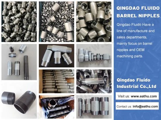 ASME B16.11 Alta Pressão 2000 3000 6000 9000 Acessórios para tubos de aço carbono forjado Encaixes roscados para bico sextavado